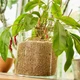 Субстрат Compo BIO GRANUPLANT для кімнатних рослин 3 л 8817 - изображение 9