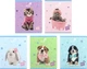 Набір зошитів Kite Studio Pets 24 аркуші у клітинку 20 шт (SP26-238) - зображення 1