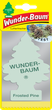 Ароматизатор повітря Wunder-Baum Frosted Pine (7612720201976) - зображення 1