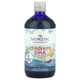 ДГК для дітей від 1 року Nordic Naturals (Children's DHA™) 530 мг 473 мл зі смаком полуниці (NOR-02724) - изображение 1