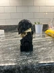 Абстрактная скульптура Сократа - изображение 3