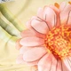 Комплект постельного белья Moon&Star Бязь Gold Люкс Sunny Bloom Полуторний 143х210 наволочки 2х70х70 (MS-820011987) - изображение 7