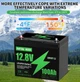 Литий-железо-фосфатный аккумулятор DATOUBOSS LiFePO4 12.8V 100Ah 1280Wh с BMS, глубокого цикла Lifepo4 - изображение 2