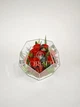 Флорариум с розами «На вершине чувств» ХL 30*30*30 см - изображение 7