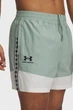 Чоловічі м'ятні шорти UA M's 96 Terrace Wvn Shorts Under Armour L 1387924-348 - изображение 4