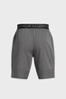 Чоловічі сірі шорти UA Vanish Woven 8in Shorts Under Armour 3XL 1370382-025 - зображення 6