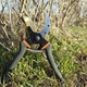 Профессиональный секатор Pruner SK-5 217мм 14мм с амортизатором - изображение 8