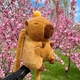 Рюкзак-игрушка Капибара с мандаринкой, плюшевый 30 см унисекс - изображение 10