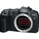 Беззеркальный фотоаппарат Canon EOS R8 + RF 24-105mm f/4-7.1 IS STM - изображение 2