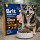 Сухий корм Brit Premium з куркою для собак похилого віку дрібних та середніх порід, 3 кг - зображення 2