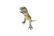 Фігурка Тиранозавр Dino Toys зі звуковим ефектом сірий 46 х 42 х 35 см - изображение 1