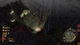 Ключ активации Zombie Driver Ultimate Edition для Xbox One/Series S/X - изображение 2