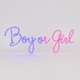 Светодиодная (LED) неоновая вывеска "Boy or Girl", от сети, сине-розовая, 50*20 см (9318-009) - изображение 3