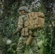 Рюкзак Large Assault Pack Tan Coyote 36л (10334003) - зображення 6