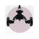 Дитячий велосипед MoMi Solivia grey 4 в 1 (ROTR00017) MoMi ROTR00017 1045301 - зображення 2
