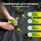 Агроволокно 1.07х10м 50г/м² перфороване для полуниці овочів спанбонд УФ стабілізація полотно чорне щільне - зображення 6