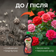 Удобрение органическое "Stimul Natural" 550мл универсальное жидкое для всех видов роз и хризантем - изображение 5