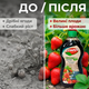 Удобрение органическое "Stimul Natural" 550мл универсальное жидкое для всех видов клубники и земляники - изображение 5