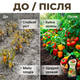 Удобрение органическое "Stimul Natural" 550мл для всех видов огородных и садовых культур универсальное жидкое - изображение 5