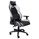 Кресло Trust GXT714W RUYA ECO, Белый - изображение 1