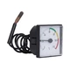 Термометр для котла капілярний 48х48 0–120°C L=670 мм Thermo Alliance SD176 - изображение 7