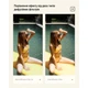 Фільтр Gold Diffusion K&F Concept 82mm kf01.3223v2 - зображення 6