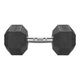 Гантель шестигранний Eleiko XF 20 кг - зображення 1
