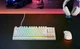 Ігрова клавіатура провідна SteelSeries Apex 3 TKL USB мембранна компактна TKL вологозахист IP32 RGB підсвічування 84 білий - зображення 5
