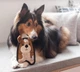 Игрушка-пищалка для собак Outward Hound щенок коричневый Mini (oh67807) - изображение 3