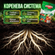 Удобрение кристаллическое Stimul NPK 200г универсальное минеральное корневое для растений цветов сада и огорода - изображение 6