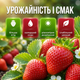 Удобрение кристаллическое Stimul NPK 200г универсальное минеральное корневое для клубники и земляники ягод - изображение 7