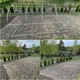 Усиленная теплица садовая парник 10 м² 400×250×200 см Kontrasto KO2504252 армированная зеленая для выращивания овощей, рассады и растений - изображение 7