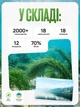 Спирулина из озера Ченхай суперфуд водоросли для похудения таблетки от лишнего веса для энергии TOP Spirulina 100 г в таблетках (1414) - изображение 5