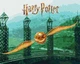 Картина за номерами Harry Potter: Золотий Снітч з фарбами металік extra Warner Bros. 40х50 Ідейка (KHO5225) - изображение 1