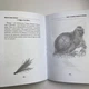 Книга - Сущи. В помощь Ведьме да Ведуну (Алена Полынь) - изображение 4
