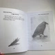 Книга - Сущи. В помощь Ведьме да Ведуну (Алена Полынь) - изображение 5