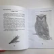 Книга - Сущи. В помощь Ведьме да Ведуну (Алена Полынь) - изображение 6