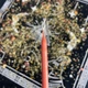 Тонкі макані воскові свічки - Рожеві 27 см - зображення 2