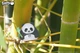 Model 3D do złożenia Eugy Zoo Panda (9421035150125) - obraz 10