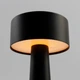 Настольная лампа Esllse Down Light 921179 2W R Sensor Black - изображение 4