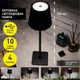 Настольная лампа Esllse Briz Sensor V 921773 DC5V/2A 4W Black - изображение 2