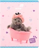Набор тетрадей Kite Studio Pets 24 листа в клетку 10 шт (SP26-238/10) - изображение 7