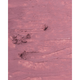 Олівець для губ ZOLA 03607 104 Dusty Orchid - зображення 5