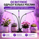Ультрафіолетова фітолампа для рослин LED лампа, 3 голови, повний спектр, USB лампа для кімнатних рослин розсади квітів 30 Вт - зображення 8