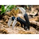 Нож Boker Magnum Veloc (01RY005) - изображение 4