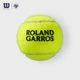 Теннисный мяч Wilson Professional All-Court, версия для Открытого чемпионата Франции по теннису (Roland Garros) WRT126400 - зображення 3