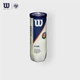 Теннисный мяч Wilson Professional All-Court, версия для Открытого чемпионата Франции по теннису (Roland Garros) WRT126400 - зображення 5