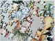 Puzzle Tactic Bunnies 200 elementów 59243 (6416739592435) - obraz 5