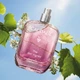Енергетична туалетна вода Caudalie The des Vignes , 50 мл - зображення 2