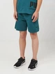 Подростковый летний комплект (футболка + шорты) для мальчика Puma 69333541 158-164 см Emerald Ice (4069161731556) - изображение 3